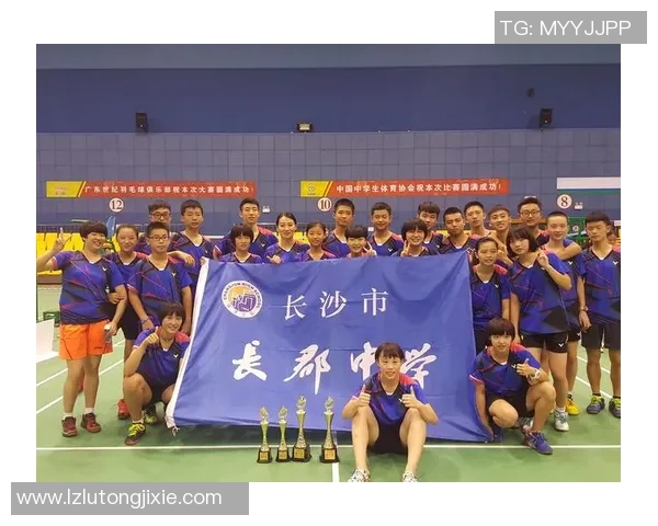 南京羽毛球队心理素质解析与提升策略探讨